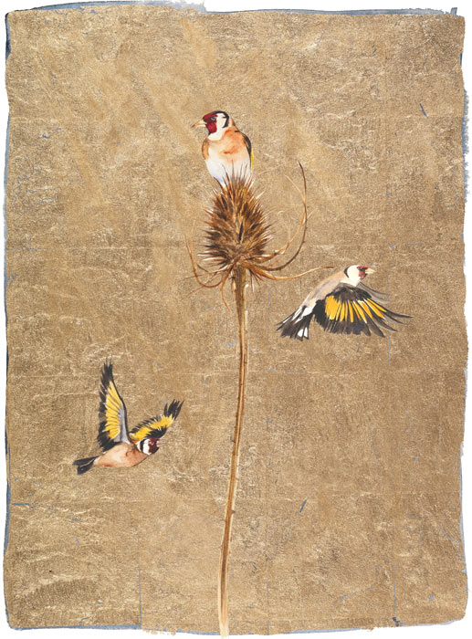 The Lost Words - Jackie Morris - Goldfinch - SIgned Limited Edition Print