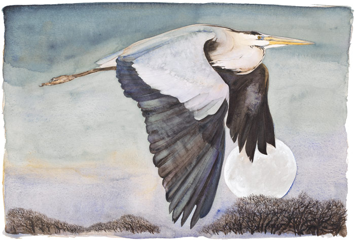 The Lost Words - Jackie Morris - Robert Macfarlane - Heron in Flight - Signed Limited Edition Print
