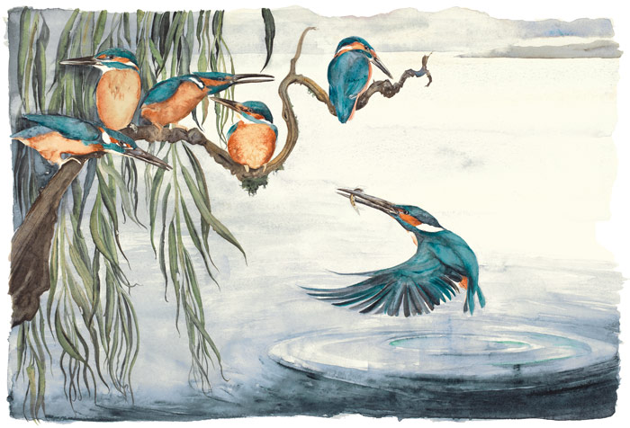 The Lost Words - Jackie Morris - Robert Macfarlane - Kingfishers - Signed Limited Edition Print