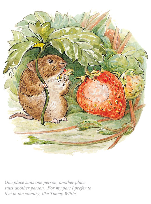 Beatrix Potter - Tale of Johnny Town Mouse