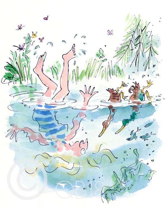 Quentin Blake - D is for Ducks - Collectors Edition Print