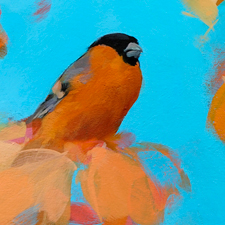 Heidi Langridge Prints