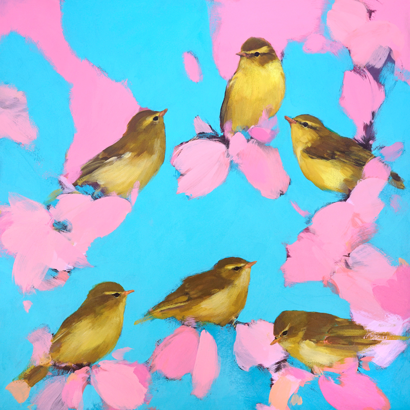 heidi-langridge-Warblers-in-pink-and-blue
