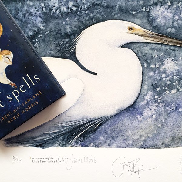 robert macfarlane the lost spells robert macfarlane the lost spells