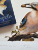 Jackie Morris Robert Macfarlane The Lost Spells Limited Edition Prints