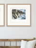 Jackie Morris Robert Macfarlane The Lost Spells Limited Edition Prints