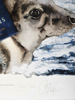 Jackie Morris Robert Macfarlane The Lost Spells Limited Edition Prints