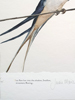 Jackie Morris Robert Macfarlane The Lost Spells Limited Edition Prints