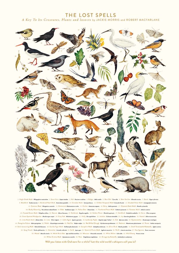 The-Lost-Spells-Glossary-Poster-jackie-morris-robert-macfarlane