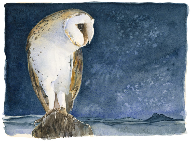 the-lost-spells-jackie-morris-barn-owl-limited-edition-print