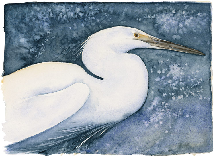 the-lost-spells-jackie-morris-little-egret-limited-edition-print