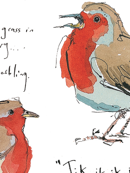 Madeleine Floyd - Sketchbook - Robin & House Sparrow