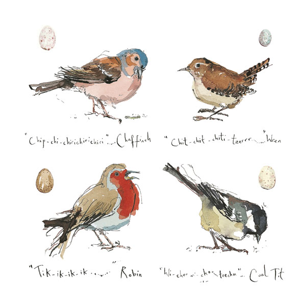 Madeleine Floyd - Garden Birds I