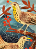 Mark Hearld Limited Edition Prints