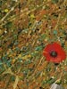 Paul Evans Limited Edition Prints