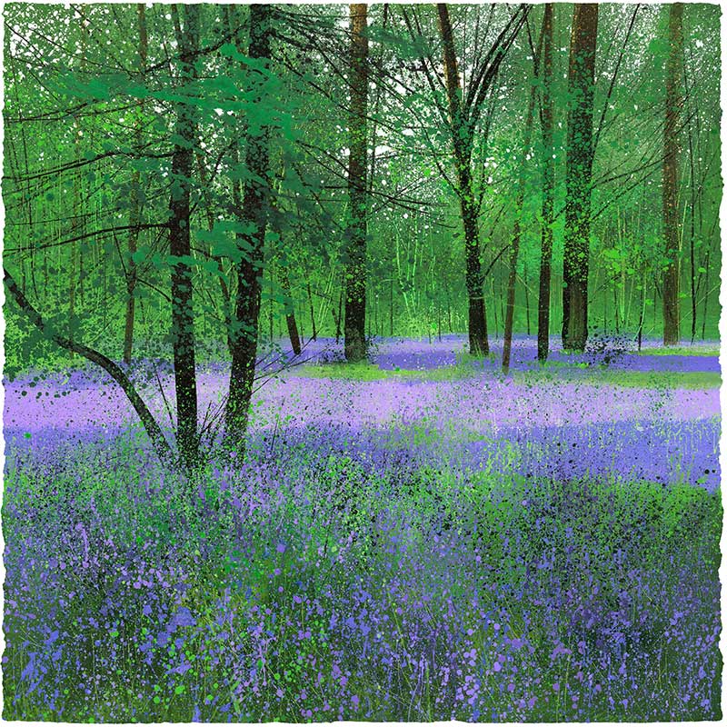 PE3072-paul-evans-birdcall-and-bluebells