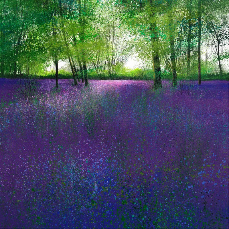 Paul-Evans-A-Sea-of-Bluebells