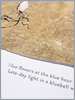 Jackie Morris Robert Macfarlane The Lost Words Limited Edition Prints