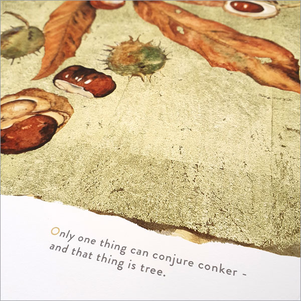 The Lost Words by Robert Macfarlane The Lost Words by Robert Macfarlane
