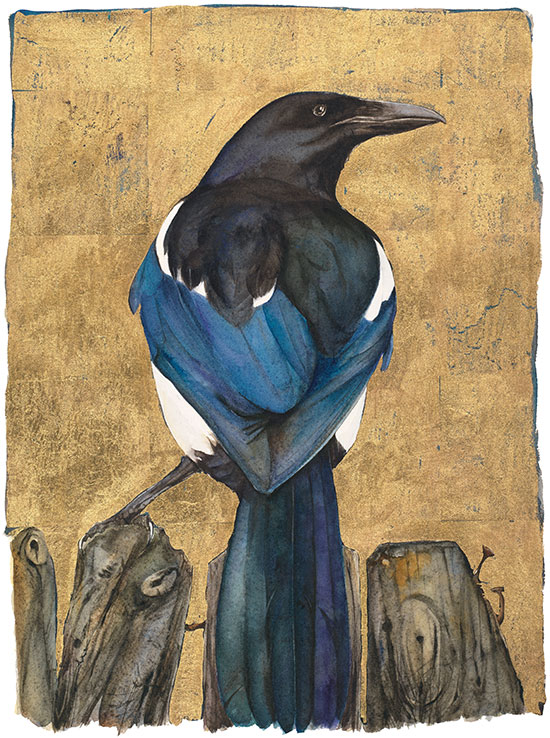 JM8034-Jackie-Morris-Lost-Words-Magpie