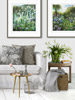 Dylan lloyd Limited Edition Garden Prints