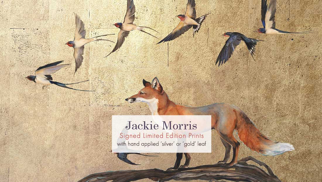 Jackie Morris Signed Limited Edition Prints