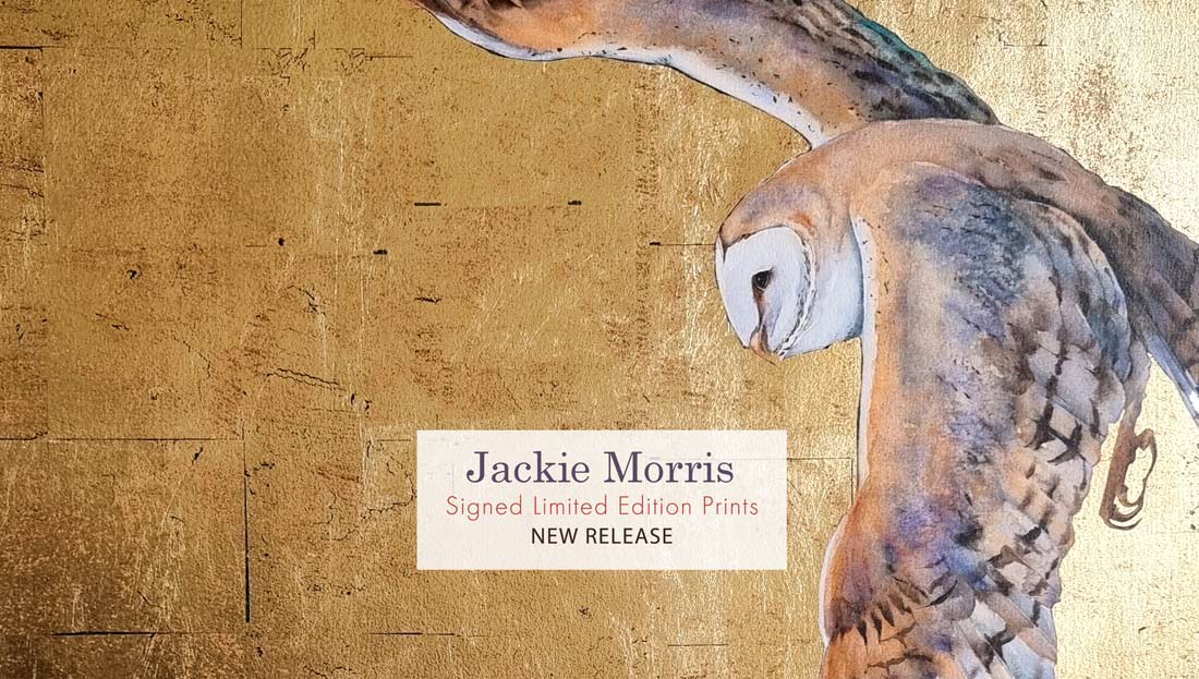 Jackie Morris Prints