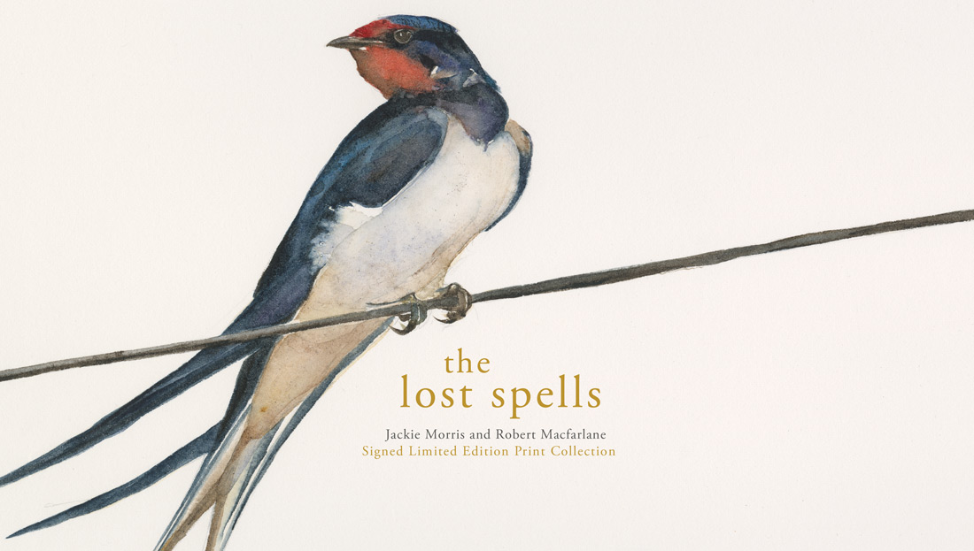 the lost spells by robert macfarlane the lost spells by robert macfarlane
