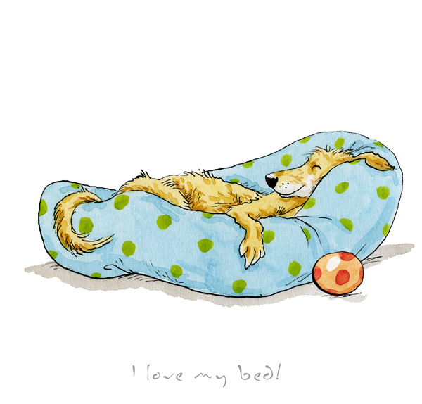 Anita Jeram - I Love my Bed!