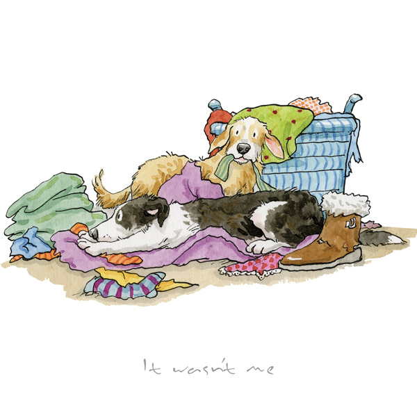 Anita Jeram - It wasn't me!