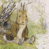 Beatrix Potter Benjamin Bunny Prints