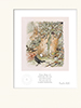 Beatrix Potter Peter Rabbit Prints