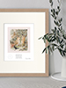 Beatrix Potter Peter Rabbit Prints