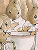 Beatrix Potter Peter Rabbit Prints