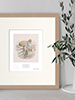 Beatrix Potter Peter Rabbit Prints