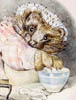 Beatrix-Potter-Mrs-Tiggy-winkle-Shirtfronts