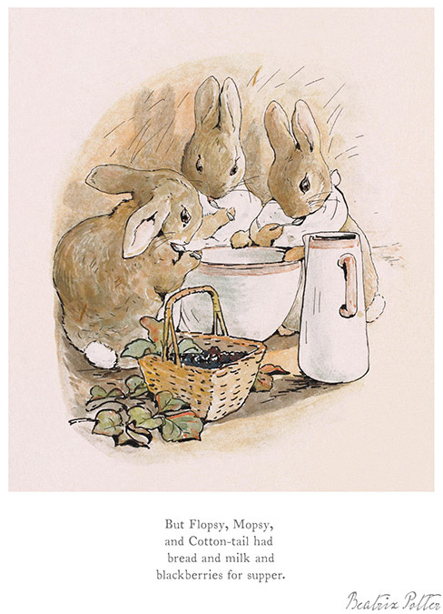 BP9103-Beatrix-Potter-But-Flopsy,-Mopsy