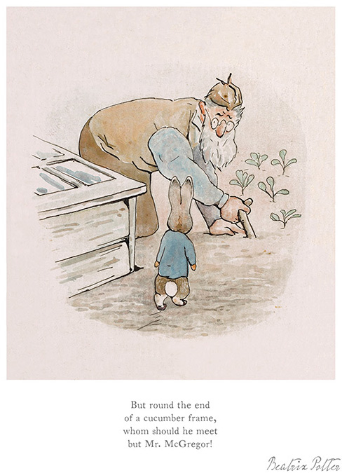 BP9104-Beatrix-Potter-Mr McGregor