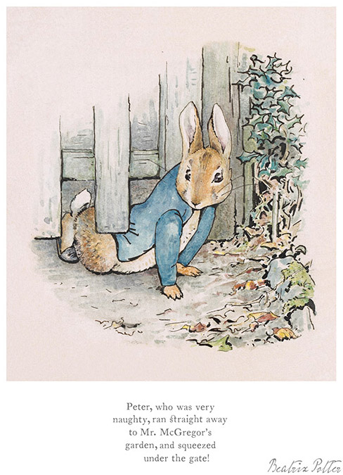 BP9109-Beatrix-Potter-Peter-squeezed-under-the-gate