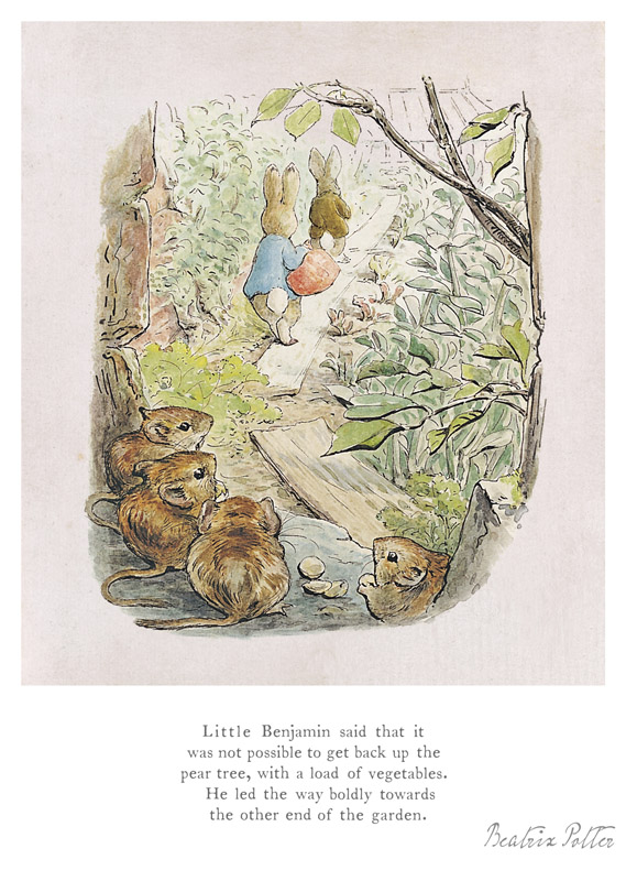 beatrix-potter - benjamin-bunny