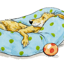 Anita Jeram Dogs Life