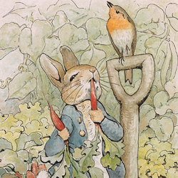 Beatrix Potter Peter Rabbit Prints